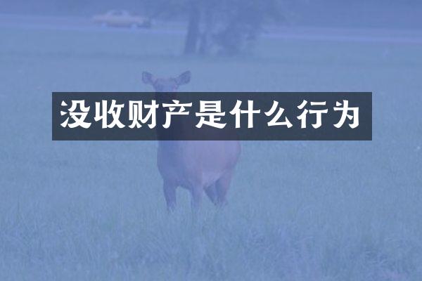 没收财产是什么行为