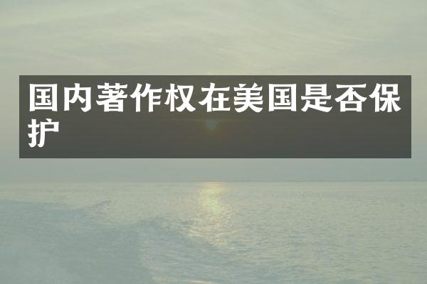 国内著作权在美国是否保护