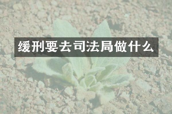 缓刑要去司法局做什么