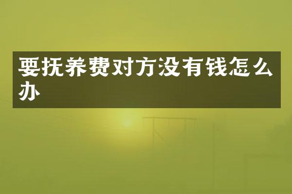要抚养费对方没有钱怎么办