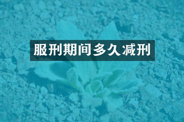服刑期间多久减刑