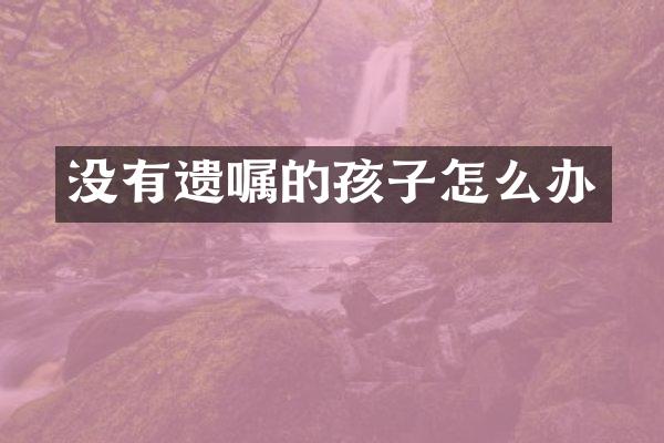 没有遗嘱的孩子怎么办
