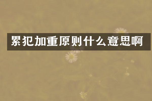 加重原则什么意思啊