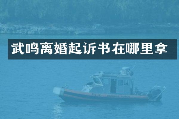 武鸣离婚起诉书在哪里拿