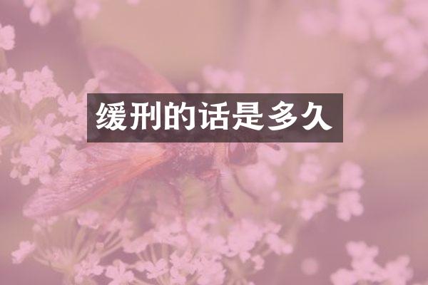 缓刑的话是多久