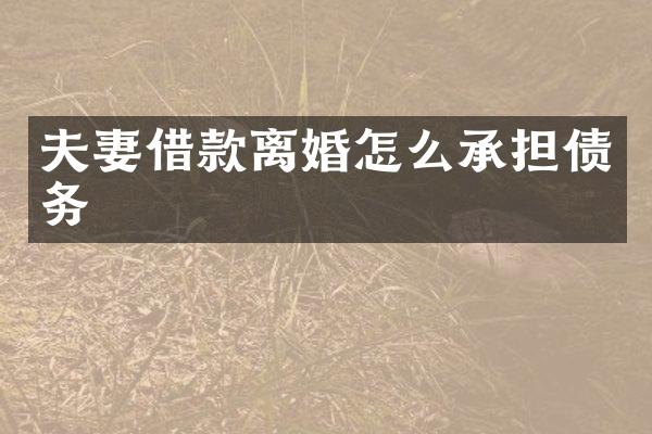 夫妻借款离婚怎么承担债务