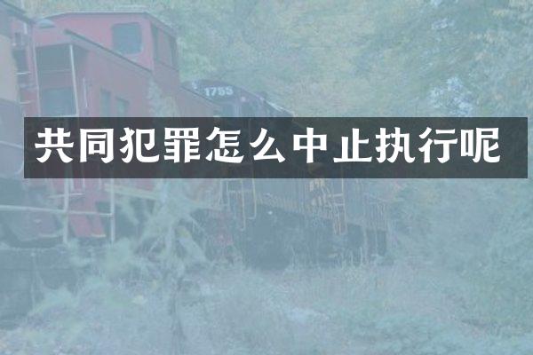 共同犯罪怎么中止执行呢