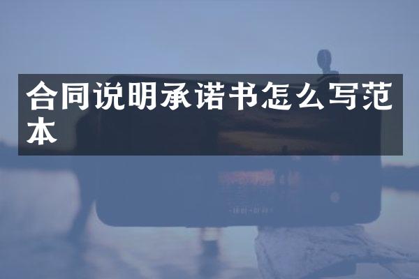 合同说明承诺书怎么写范本