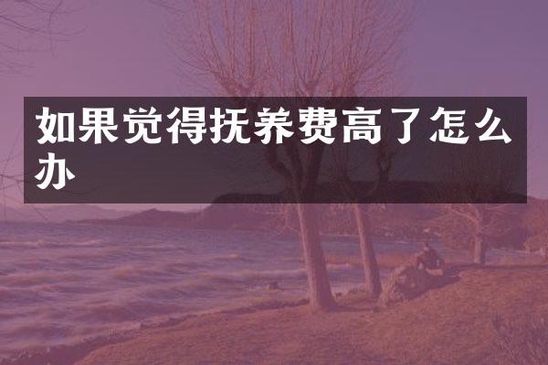 如果觉得抚养费高了怎么办