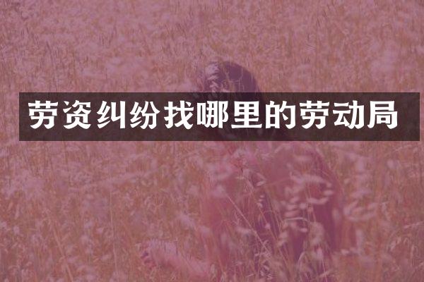 劳资纠纷找哪里的劳动局