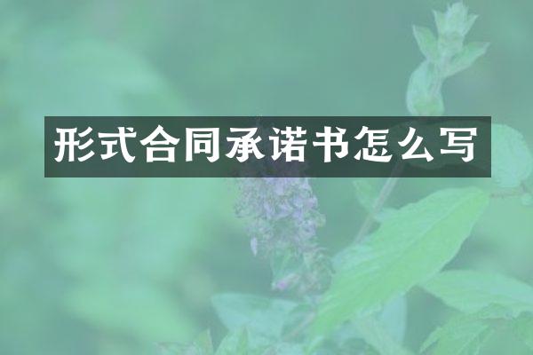 形式合同承诺书怎么写