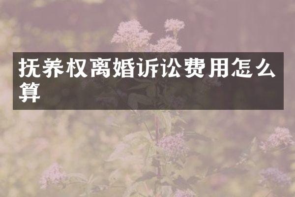 抚养权离婚诉讼费用怎么算