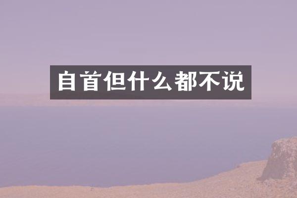 自首但什么都不说