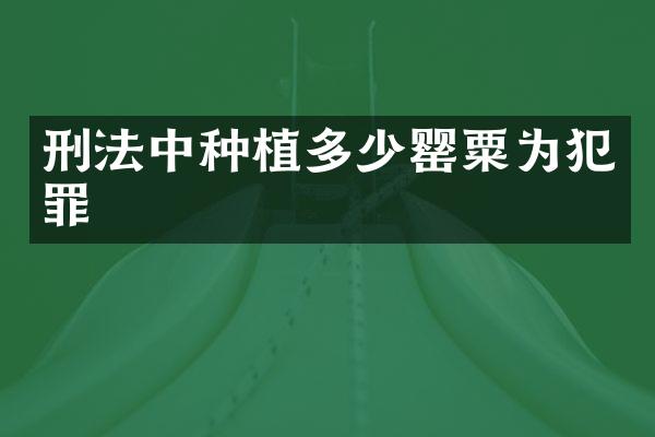 刑法中种植多少为犯罪