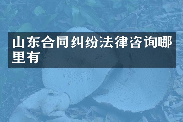 山东合同纠纷法律咨询哪里有