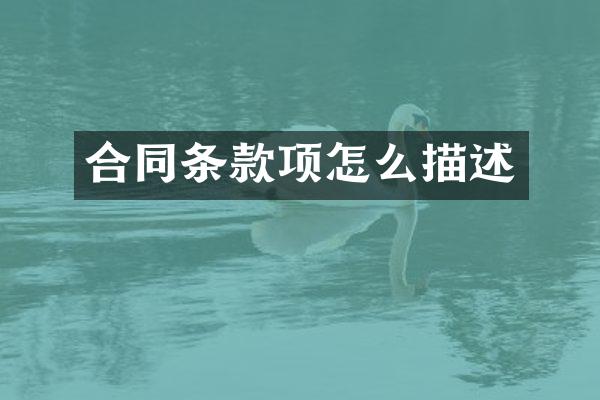 合同条款项怎么描述
