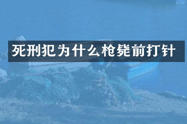 死刑犯为什么毙前打针