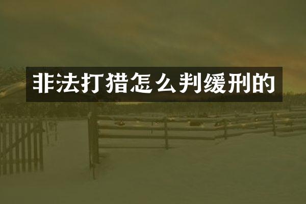 非法打猎怎么判缓刑的
