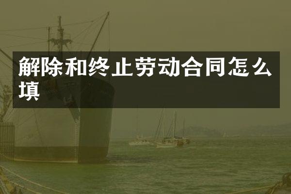 解除和终止劳动合同怎么填