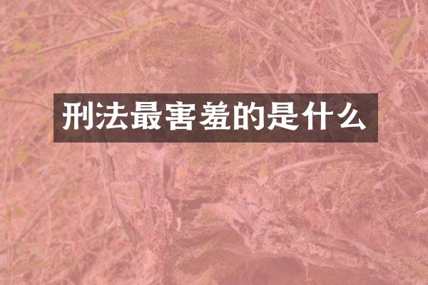 刑法最害羞的是什么