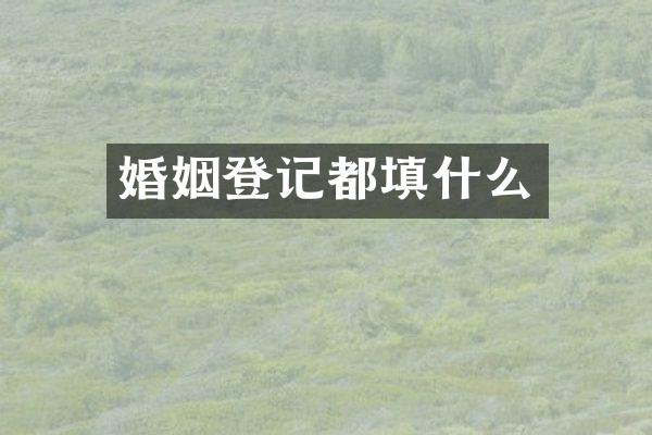婚姻登记都填什么