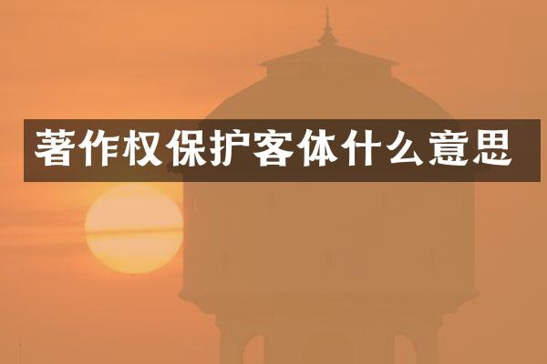著作权保护客体什么意思