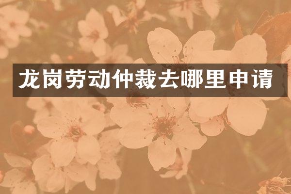 龙岗劳动仲裁去哪里申请