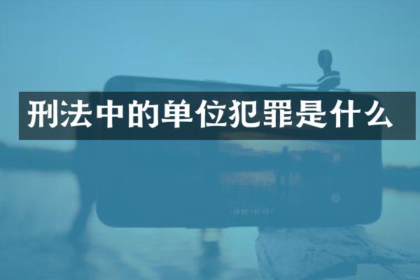 刑法中的单位犯罪是什么