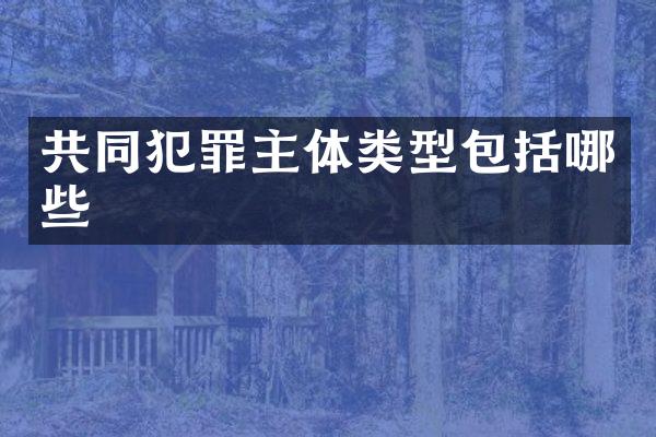 共同犯罪主体类型包括哪些