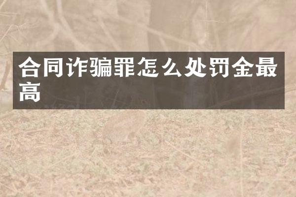 合同诈骗罪怎么处罚金最高