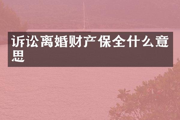 诉讼离婚财产保全什么意思