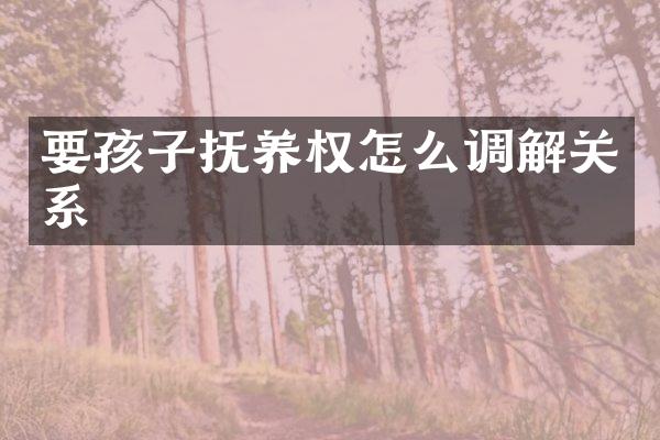 要孩子抚养权怎么调解关系