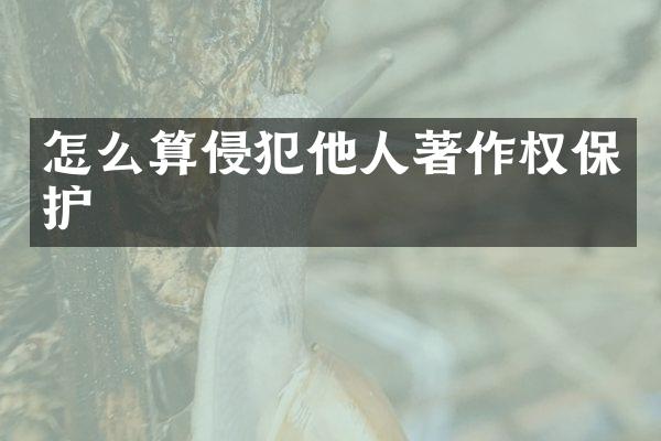 怎么算侵犯他人著作权保护