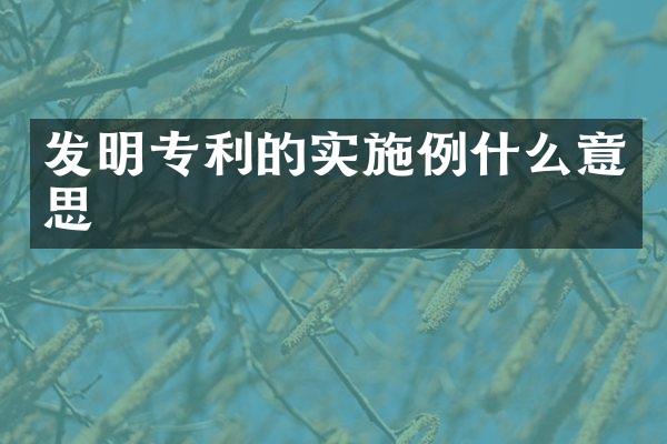 发明专利的实施例什么意思