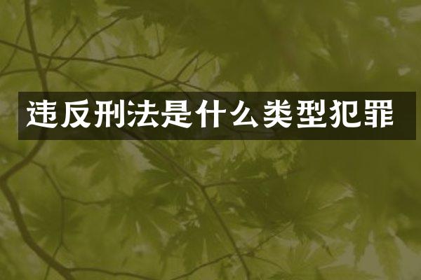 违反刑法是什么类型犯罪