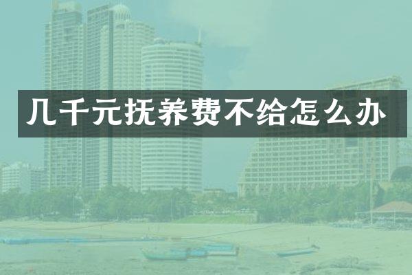 几千元抚养费不给怎么办
