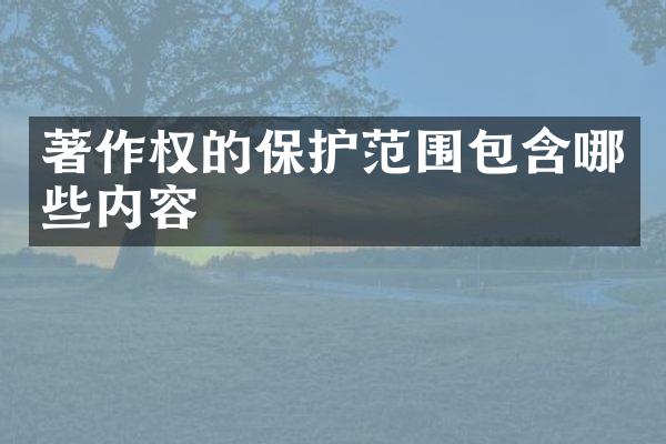 著作权的保护范围包含哪些内容