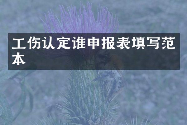 工伤认定谁申报表填写范本