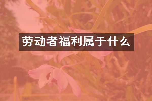 劳动者福利属于什么