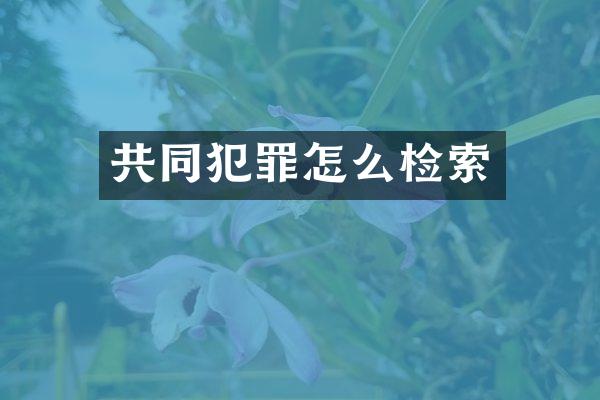 共同犯罪怎么检索