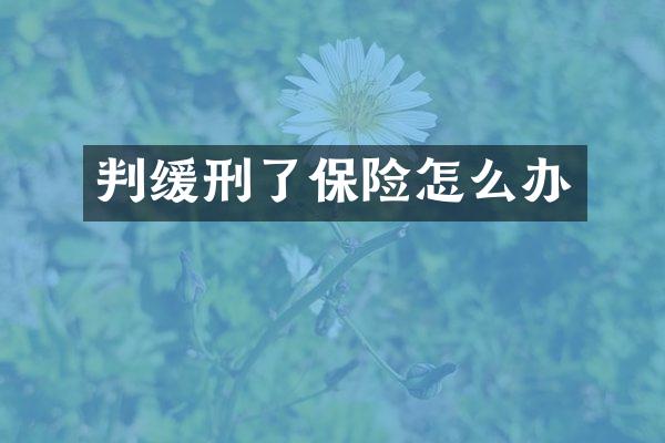 判缓刑了保险怎么办
