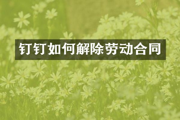 钉钉如何解除劳动合同