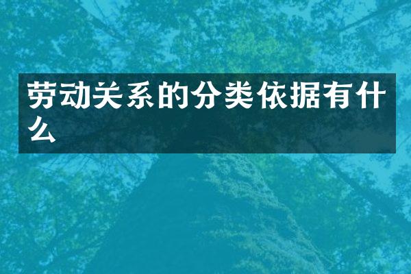 劳动关系的分类依据有什么