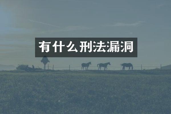 有什么刑法漏洞