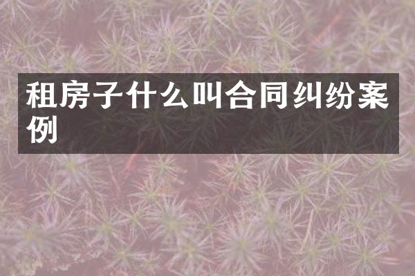租房子什么叫合同纠纷案例