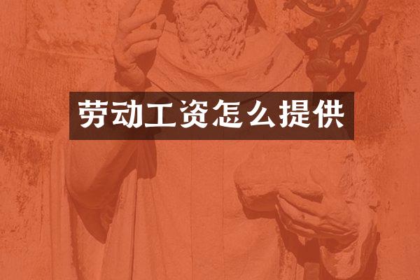 劳动工资怎么提供