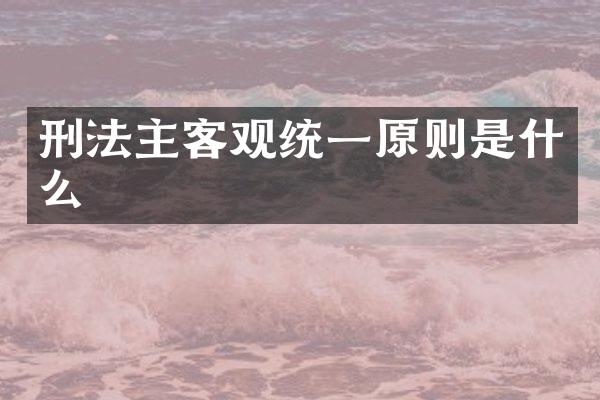 刑法主客观统一原则是什么