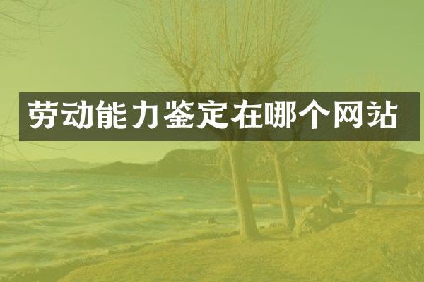 劳动能力鉴定在哪个网站