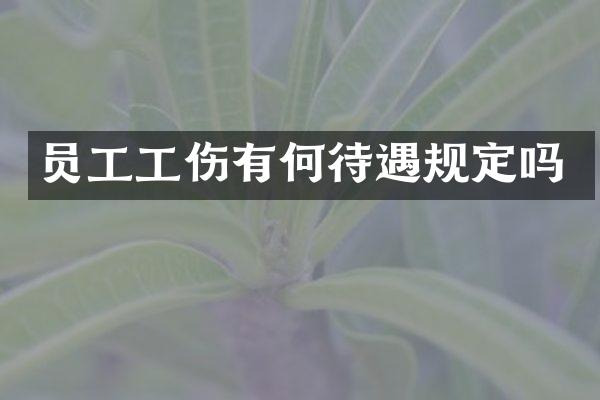 员工工伤有何待遇规定吗
