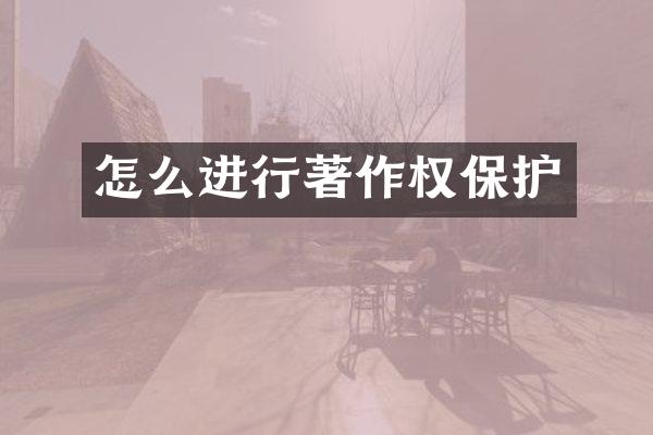 怎么进行著作权保护